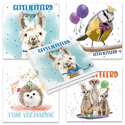 Favoriet Wenskaartenset 10 kaarten – Petit Paris Illustraties – Gefeliciteerd