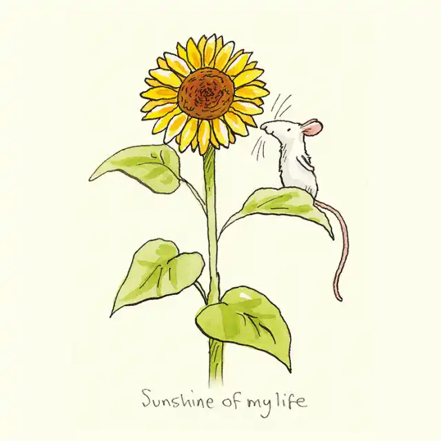 Shop Nu Wenskaart – Sunshine of my life, Anita Jeram