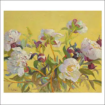 Wenskaart Ben Rikken – Pioenrozen – 15 x 15 Koopje