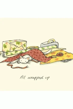 Aanbieding Wenskaart – all wrapped up, Anita Jeram