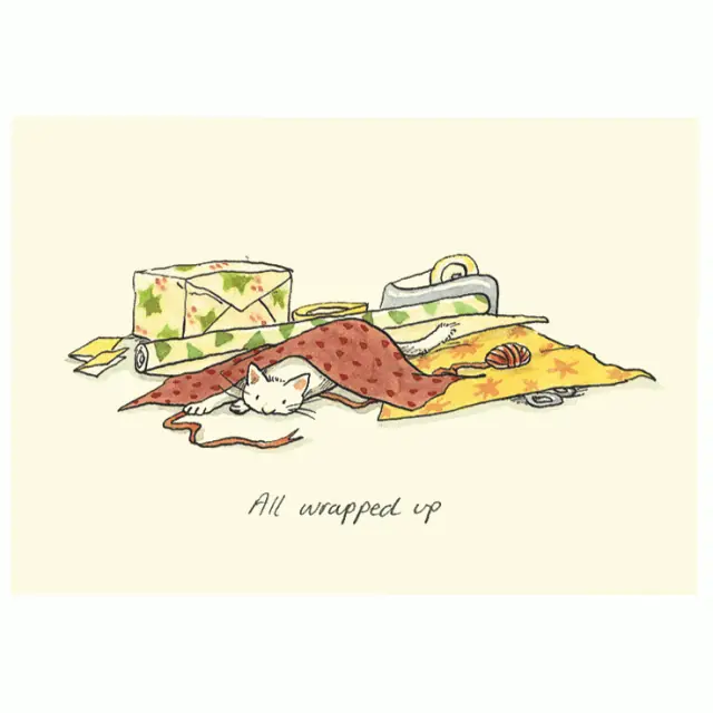 Aanbieding Wenskaart – all wrapped up, Anita Jeram