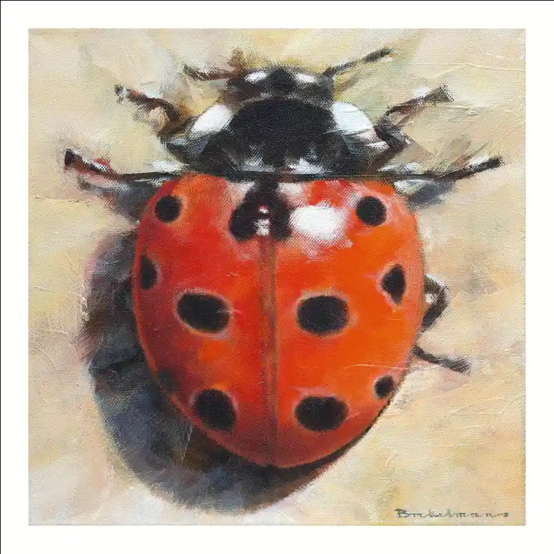 Gratis Verzending Wenskaart Dorus Brekelmans – Coccinella – 10 x 10