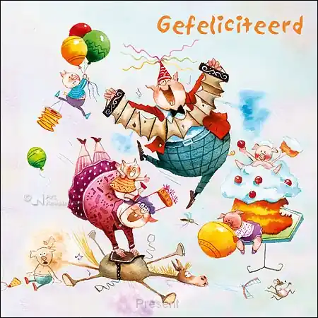 Direct Verzonden Wenskaart blic Marius van Dokkum – gefeliciteerd – 12 x 12