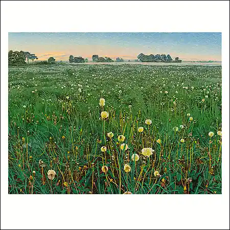 Actieprijs Wenskaart Siemen Dijkstra – Lheeder Made – 15 x 15
