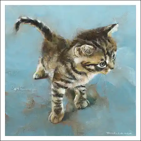 Wenskaart Dorus Brekelmans – kitten – 15 x 15 Koop Online
