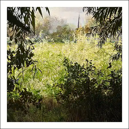 Alleen Vandaag Wenskaart Saskia Boelsums – Landscape #223 – 15 x 15