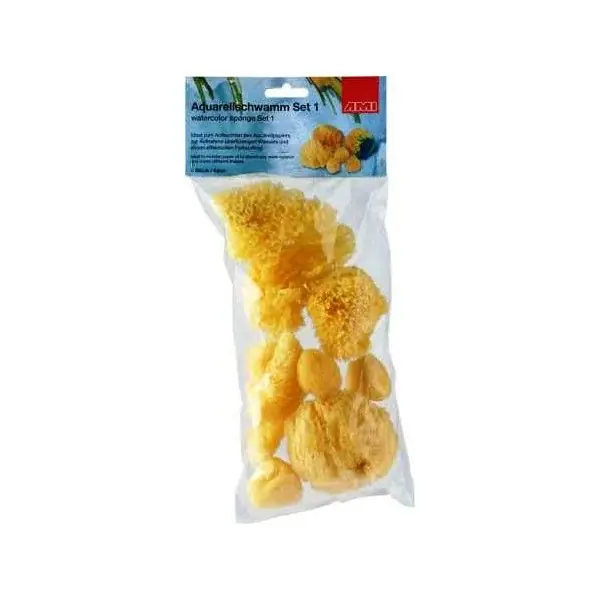 AMI Natuurspons set 5 Shop Nu