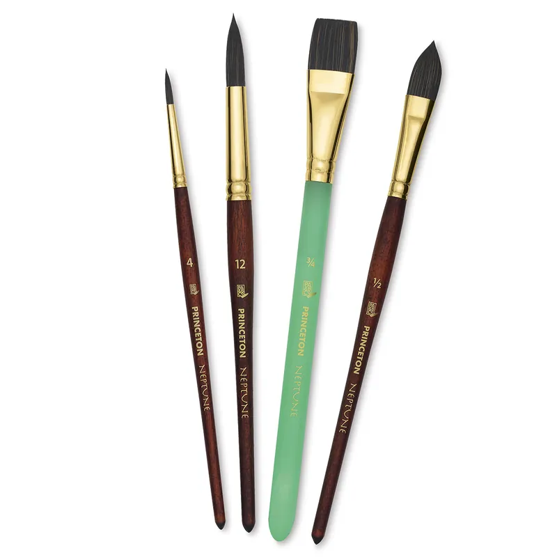 Laatste Kans Princeton neptune professional set