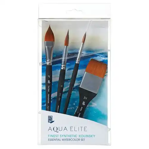 Princeton aqua elite professional box Koopje