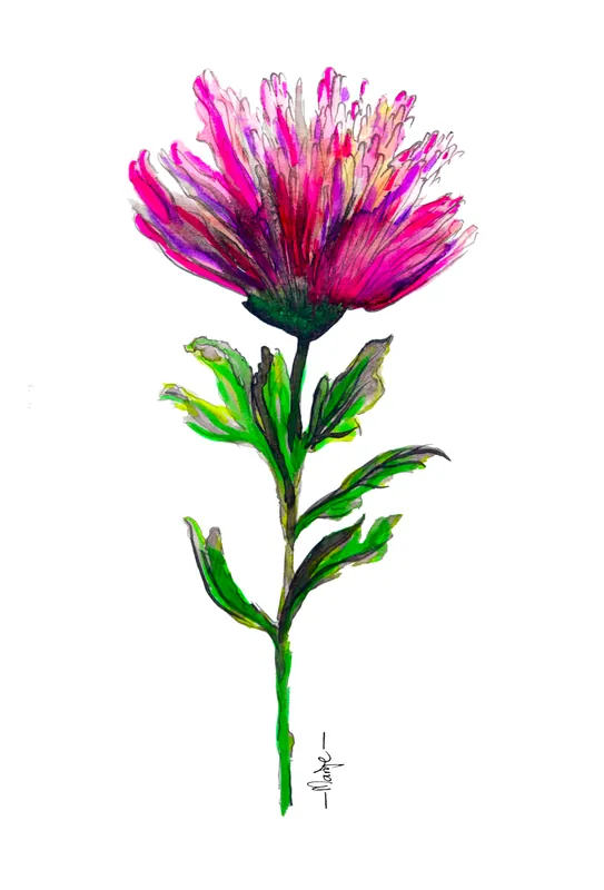 Ansichtkaart Marije – Chrysant Merkproduct