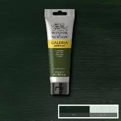 Alleen Vandaag Winsor & Newton Galeria acryl 120ml – 447 olijf groen