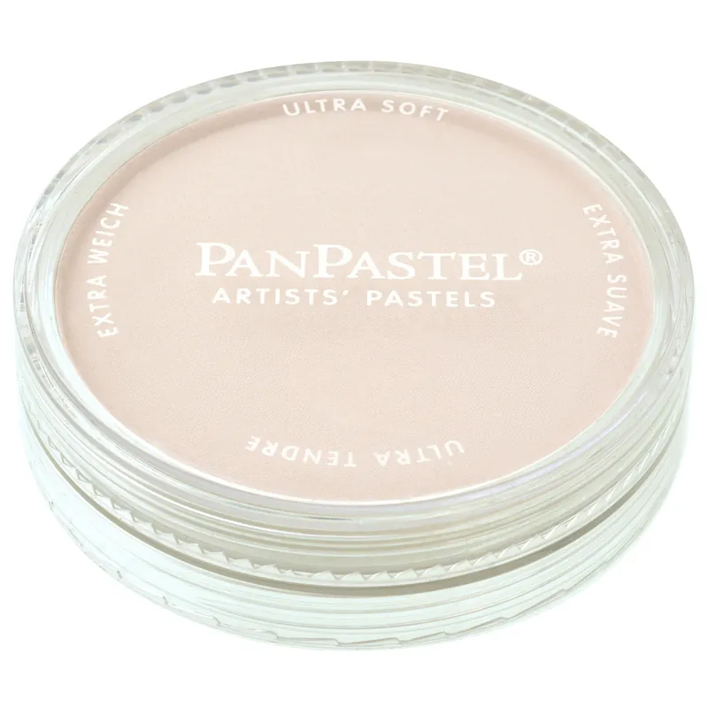 PanPastel – 780.8 raw umber tint Express Levering
