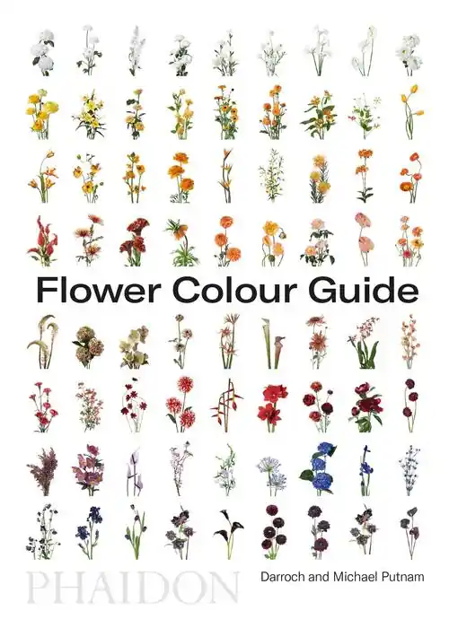 Rechtstreeks Van De Fabrikant Flower Colour Guide – Taylor Putnam