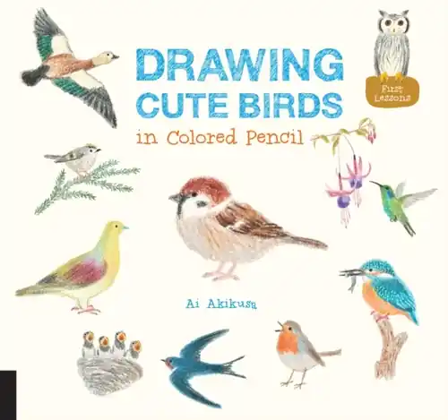 Fabrieksprijs Drawing cute birds, Ai Akikusa