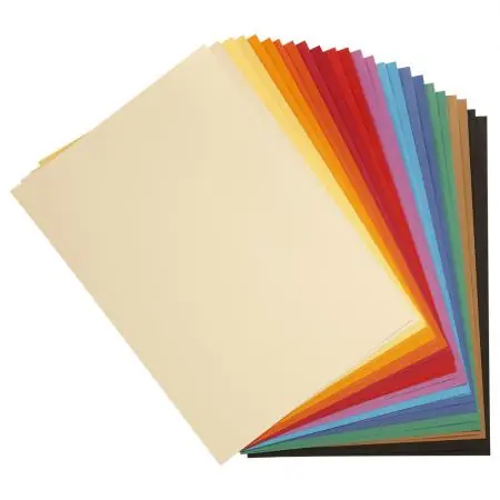 Direct Verzonden Clairefontaine gekleurd papier A4 160gr – felle kleuren