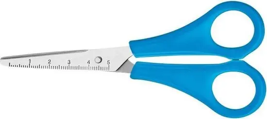 Bestel Nu Westcott kinderschaar blauw met punt