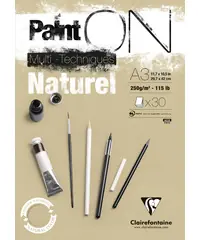 Nu Kopen Clairefontaine Paint on naturel A3 250gr