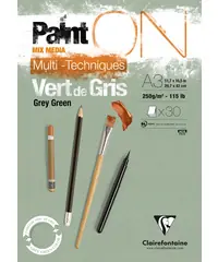 Lage Kosten Clairefontaine Paint on verdi gris A3 250gr