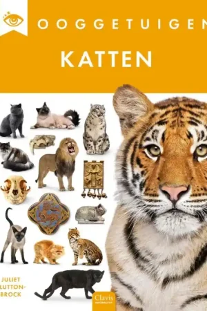 Direct Beschikbaar Katten