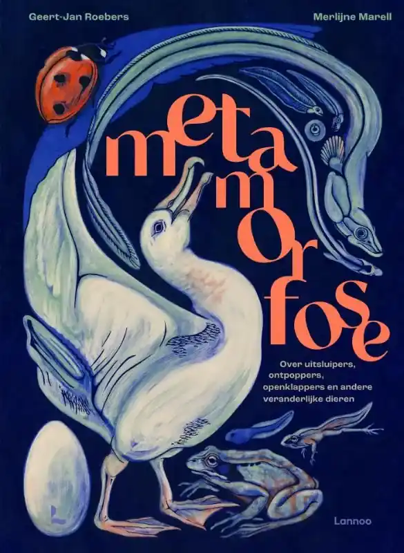 Metamorfose Tijdelijk Beschikbaar