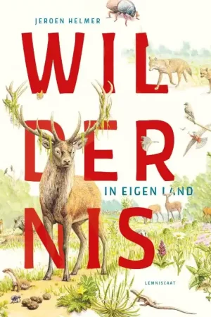 Flitsaanbieding Wildernis in eigen land