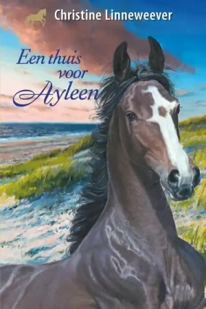 Een thuis voor Ayleen Bestseller