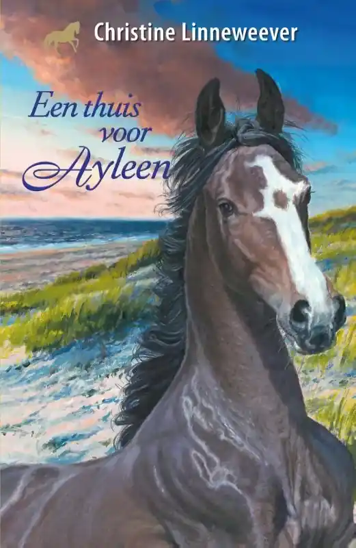 Een thuis voor Ayleen Bestseller