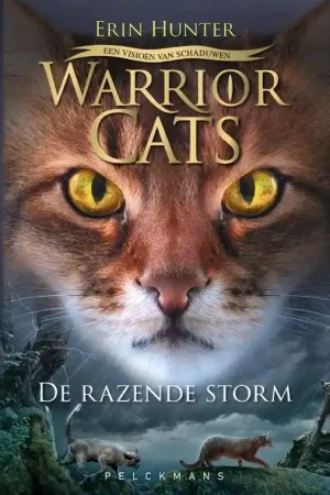 De razende storm Laatste Kans