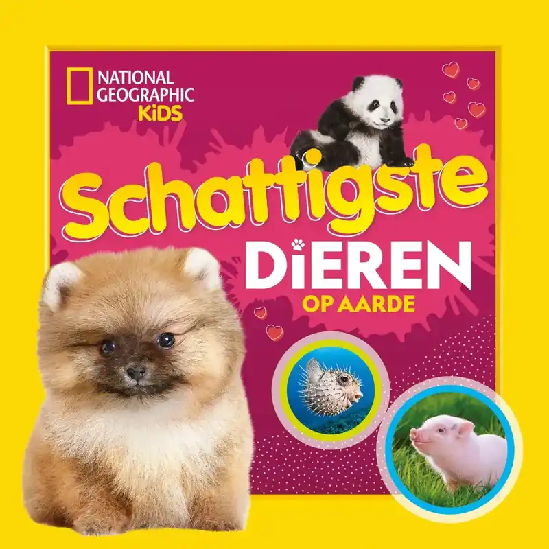 Bestel Nu Schattigste dieren op aarde