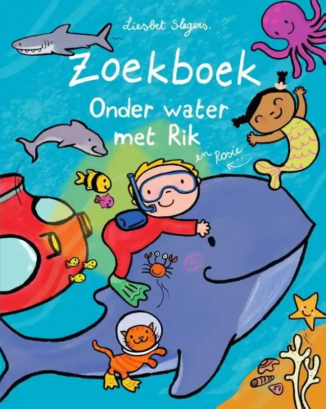 Zoekboek Rik en de nacht Lage Kosten