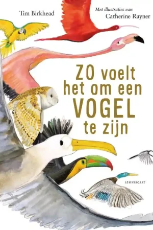 Zo voelt het om een vogel te zijn Goedkoop