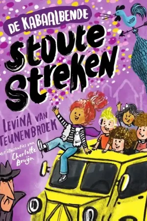 Direct Beschikbaar Stoute Streken