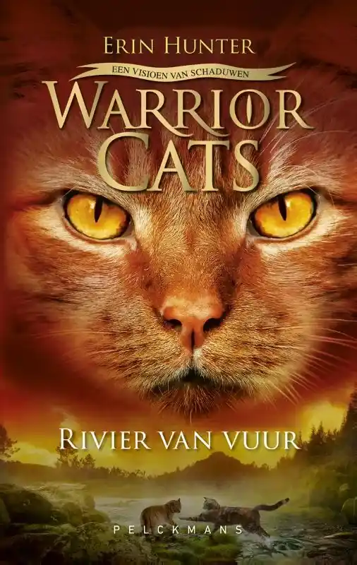 Rivier van vuur Veilige Betaling