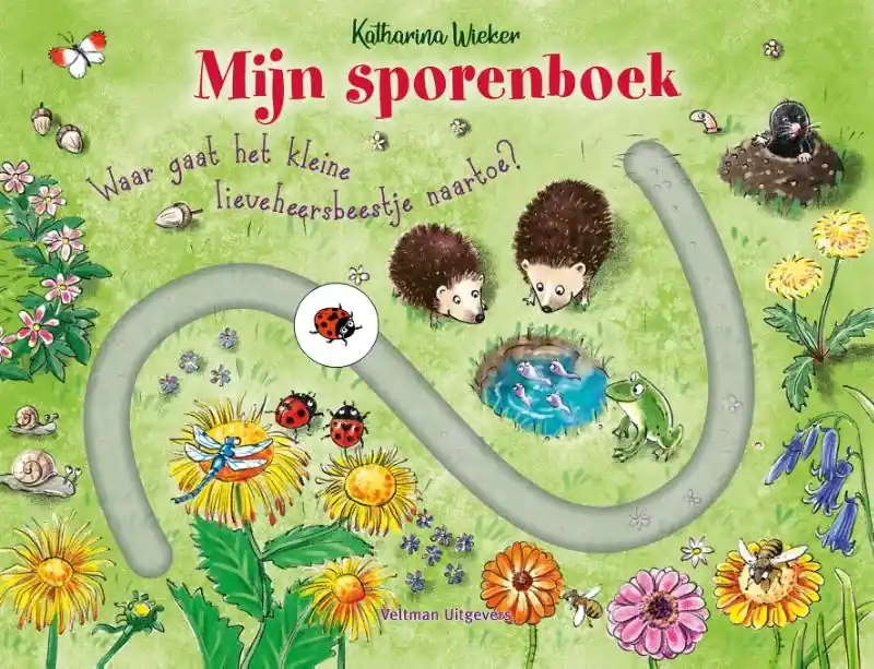Lage Kosten Mijn sporenboek