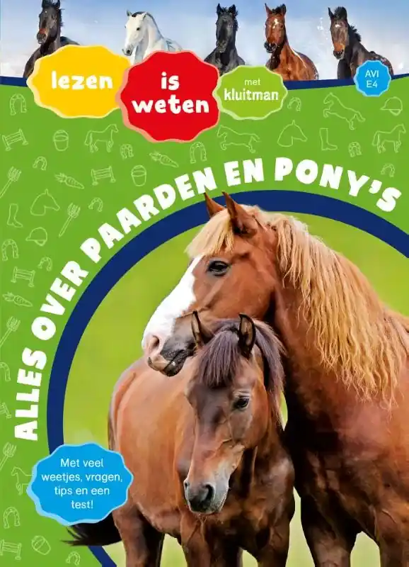 Tijdelijk Beschikbaar Alles over paarden en pony’s