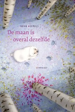 De maan is overal dezelfde Aanbieding