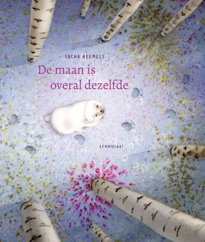 De maan is overal dezelfde Aanbieding