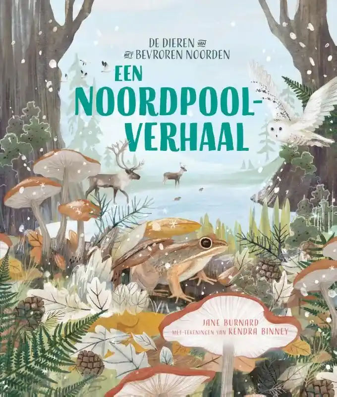 Korting Een Noordpoolverhaal