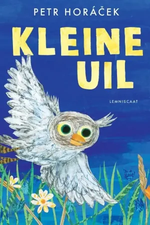Gecertificeerd Kleine uil