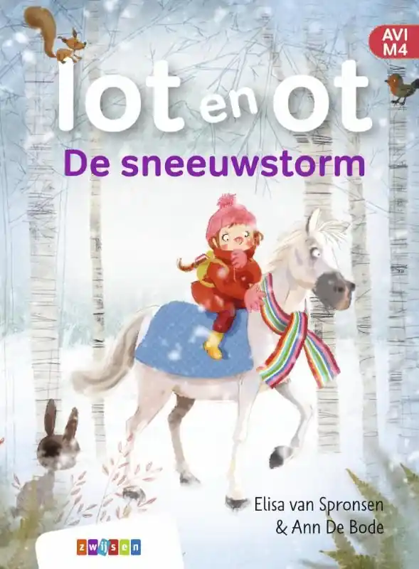 Direct Verzonden De sneeuwstorm
