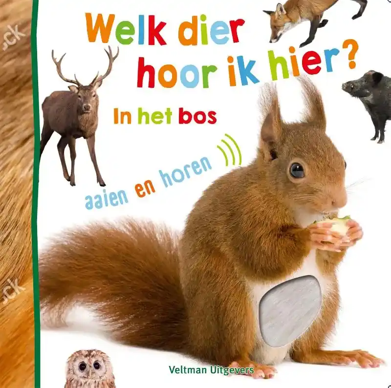 Must-Have in het bos
