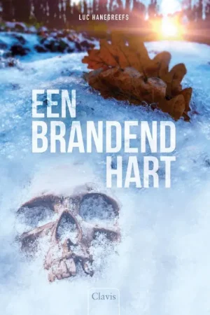 Exclusieve Aanbieding Een brandend hart
