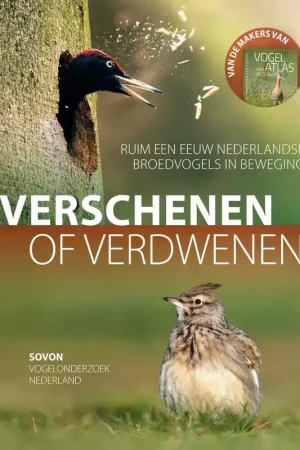 Verschenen of verdwenen - M.F.H. Hustings Koop Online