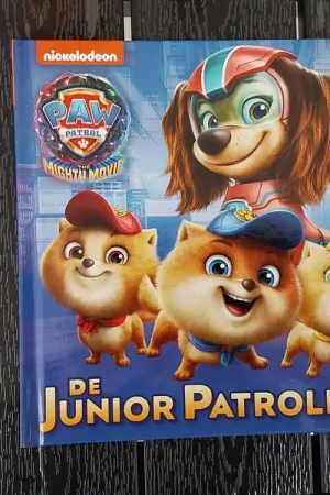 Alleen Vandaag de junior patrollers - Nickelodeon