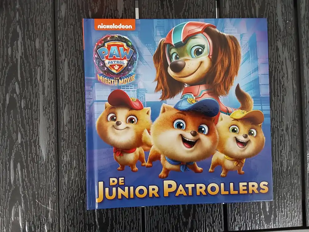 Alleen Vandaag de junior patrollers - Nickelodeon
