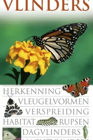 Vlinders - Paul Sterry /Andrew Mackay Direct Verzonden