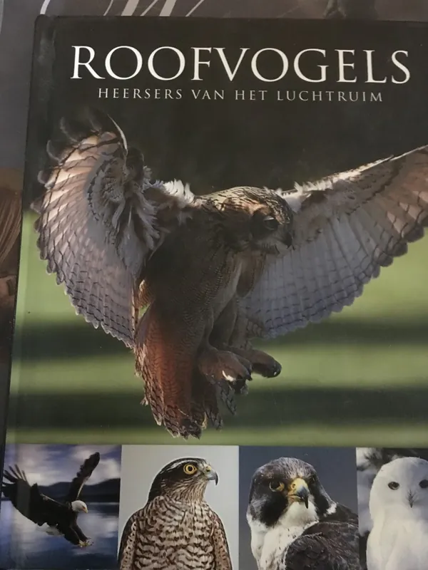 Superprijs Roofvogels. Heersers van het luchtruim - Frost, Paul D.