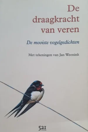 Weekendaanbieding De draagkracht van veren - Divers