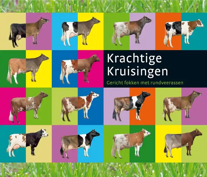 Krachtige kruisingen - A. Booij Laatste Versie