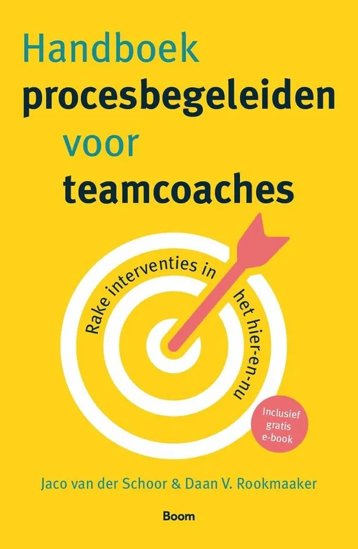 Weekendaanbieding Handboek procesbegeleiden voor teamcoaches - Jaco Van der Schoor; Daan V. Rookmaaker